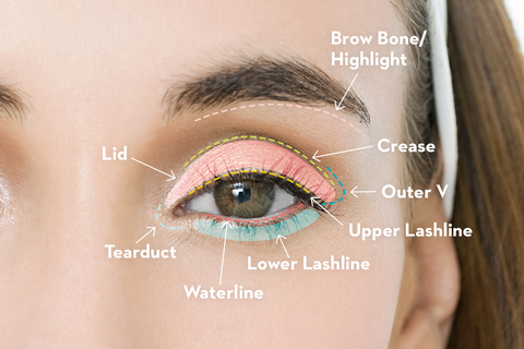 gh-how-to-apply-eyeshadow-indexartboard-1-1550091705.png