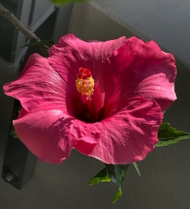IMG_20250825_205434.jpg