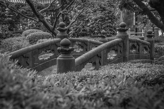 Tokyo market temple architecture bridge garden bw.jpg