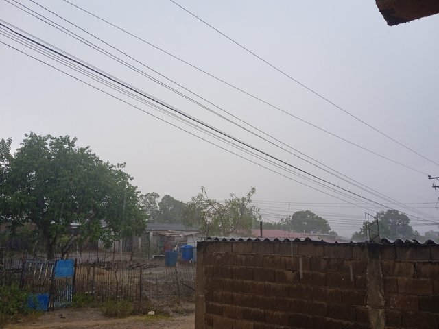 IMG_20251015_152510.jpg
