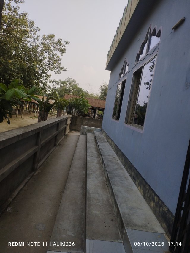IMG_20250610_171437.jpg