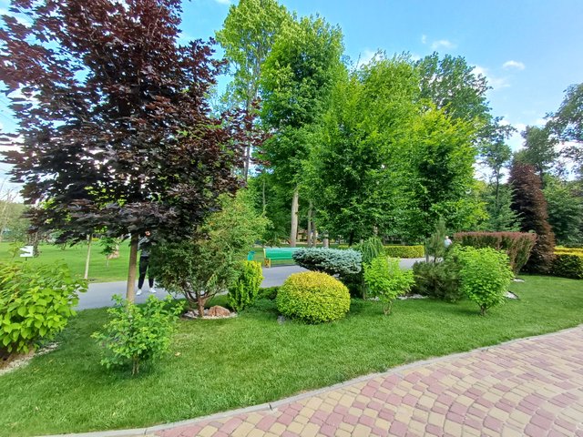 20250625_182517.jpg