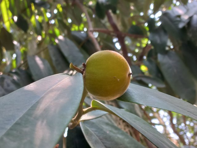 20230508_114024.jpg