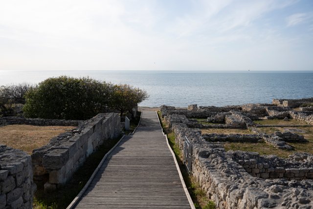 DSC04216.jpg