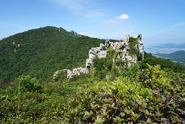 b-DSC08208.JPG