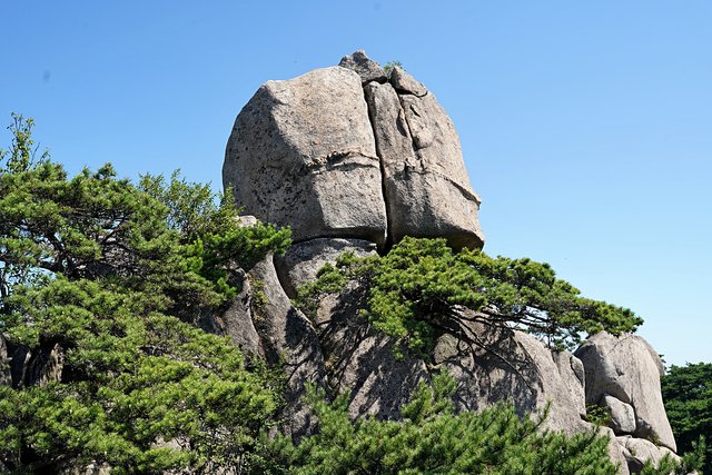b-DSC08880.JPG