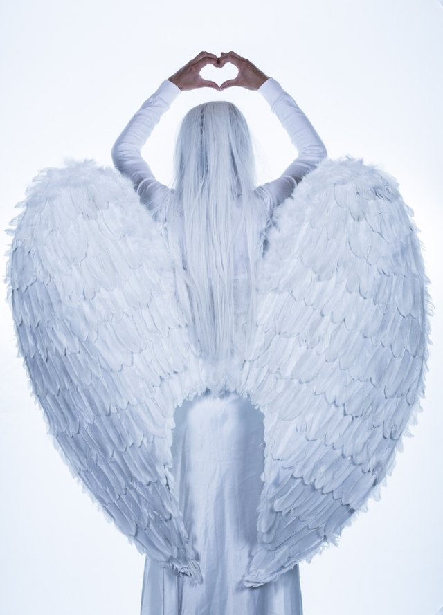 angel-art-costume-104841.jpg