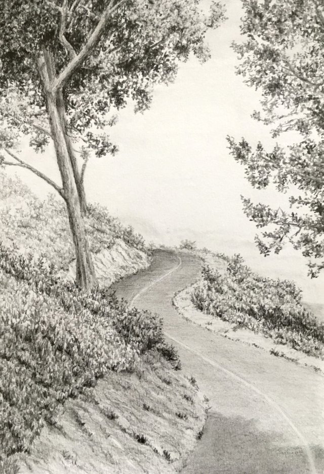 winding road drawing