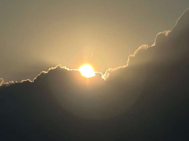 IMG_8624.jpeg