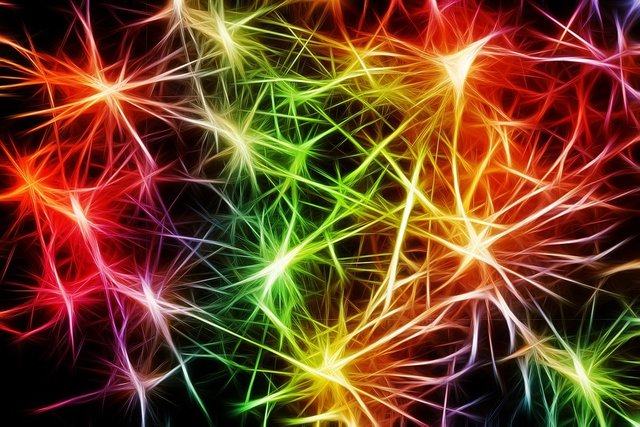 neuronas.jpg