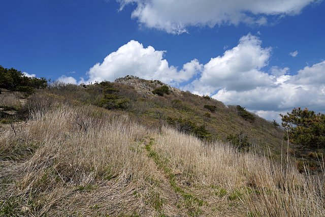 b-DSC09114.JPG