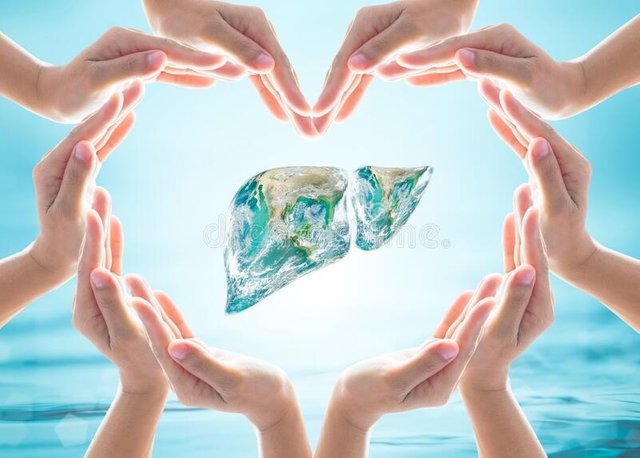 world-hepatitis-c-day-design-logo-concept-liver-organ-heart-hands-protection-world-hepatitis-c-day-design-logo-concept-186159246.jpg