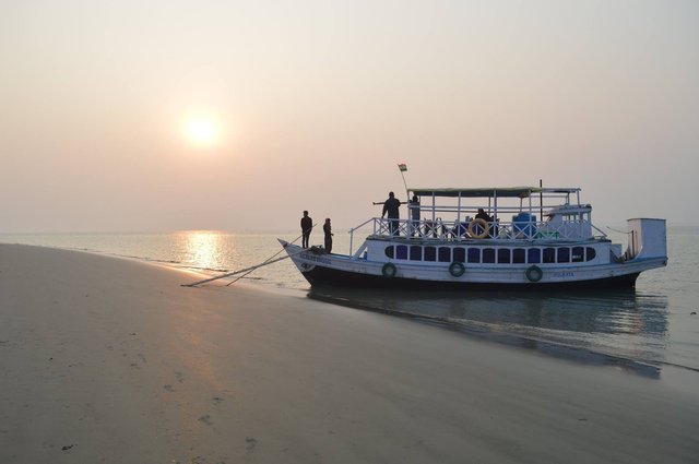 sundarbans-g92c73fd46_1920.jpg