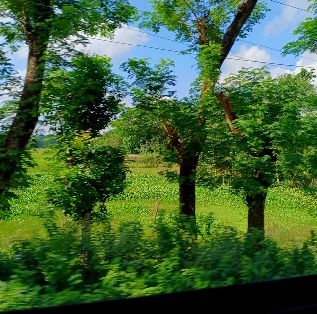 4487.jpg
