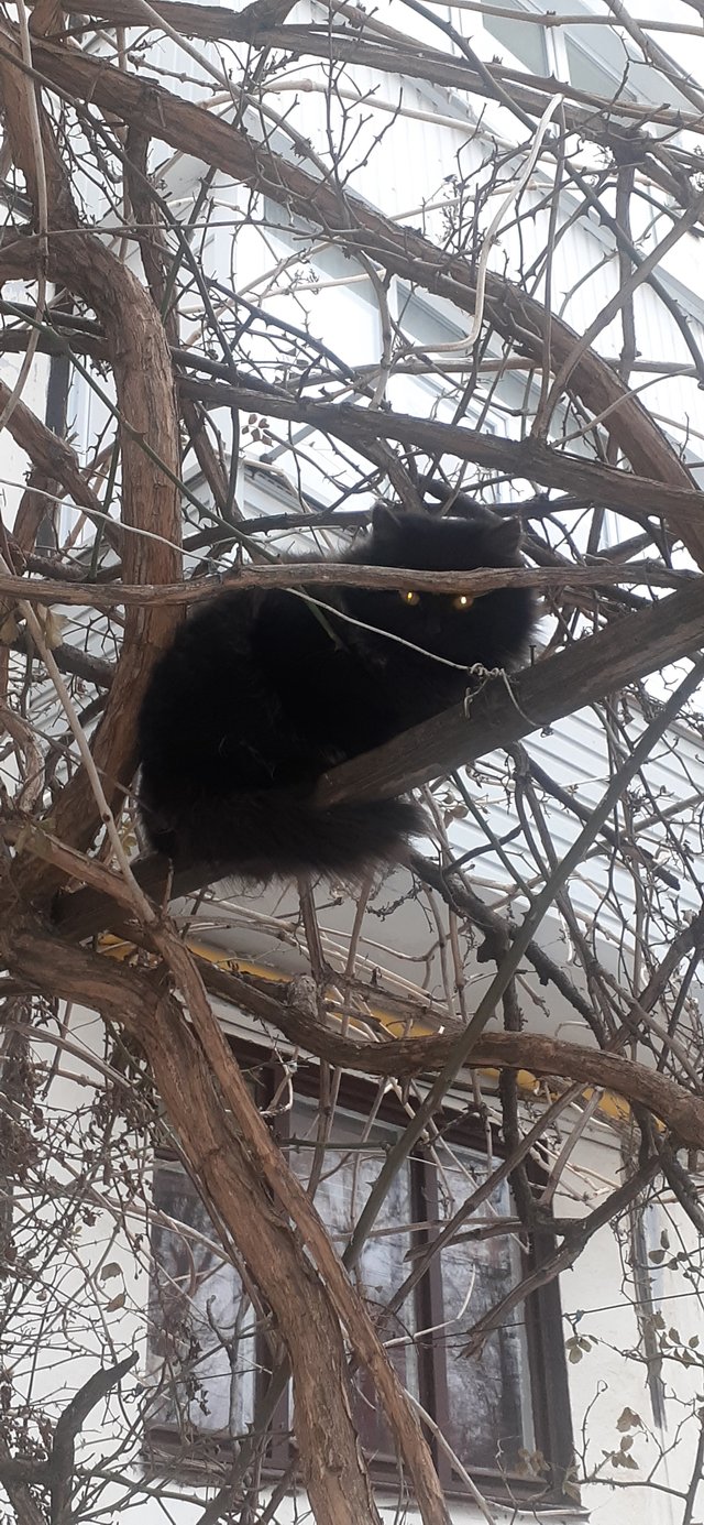 20220131_083322.jpg