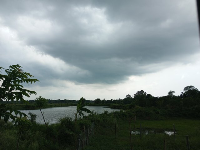 IMG_20250519_121338_026.jpg