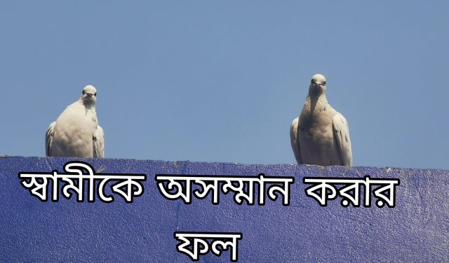 Picsart_25-02-10_22-08-56-472.jpg