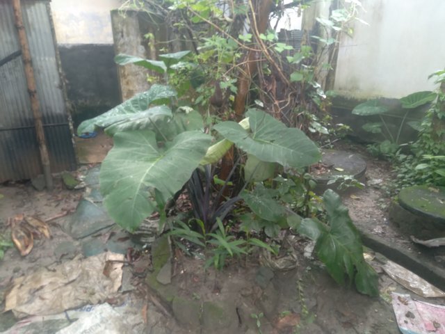 20250623_101838.jpg