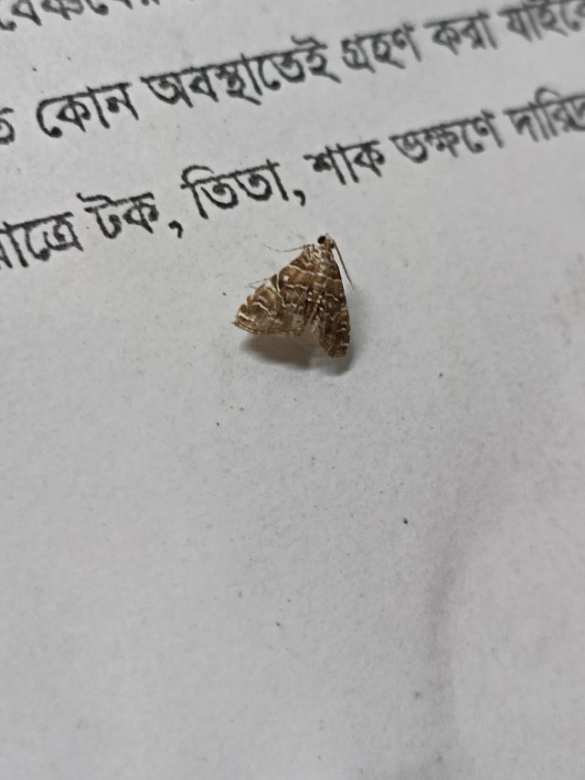 1000051907.jpg
