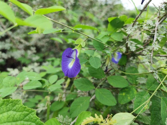 IMG_20250731_225610.jpg