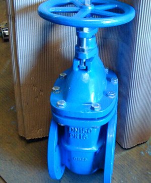 Cast iron BS 5163 Non Rising Stem Gate Valve.jpg