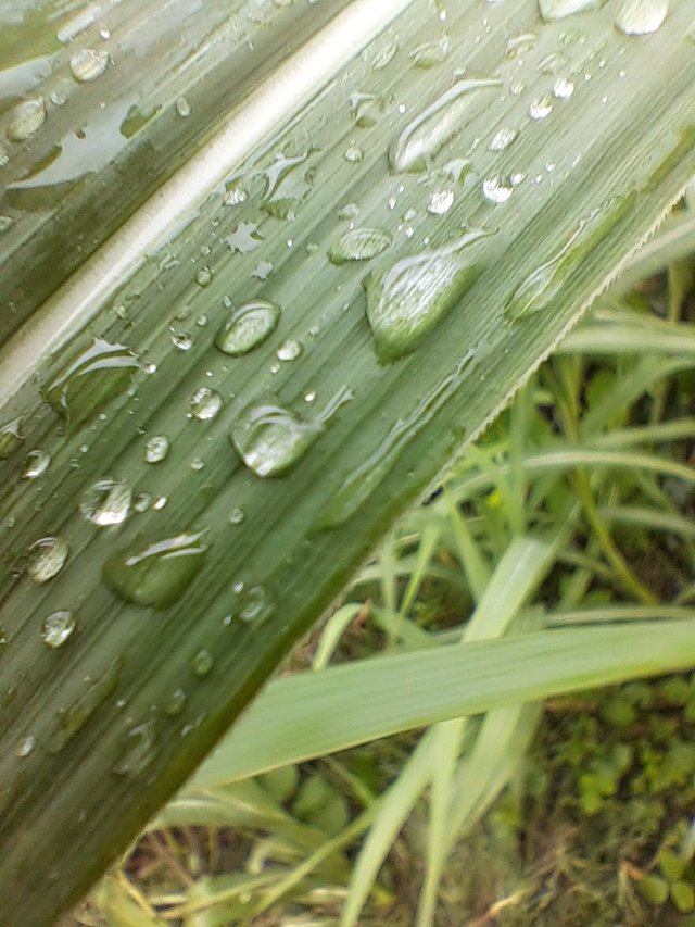 20250528_141916.jpg