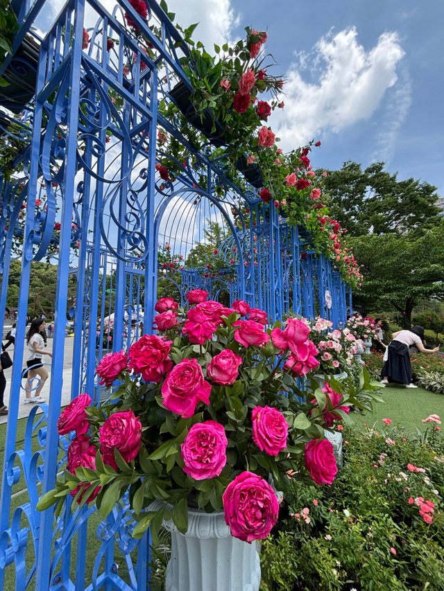 IMG_1809.jpeg