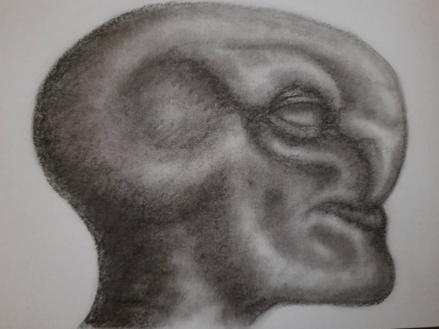 20250822_110223.jpg