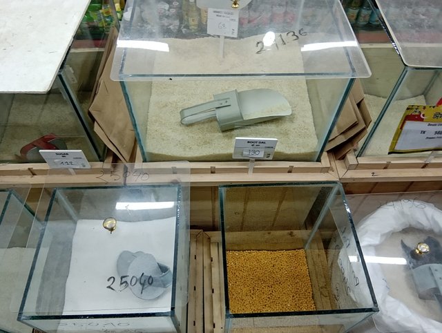 1000039189.jpg