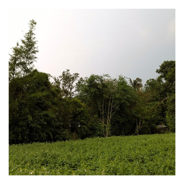 1000045091.jpg