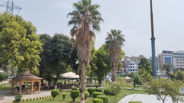 e1.jpg