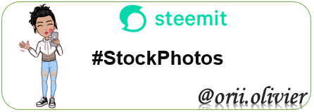 Stock Photos.png