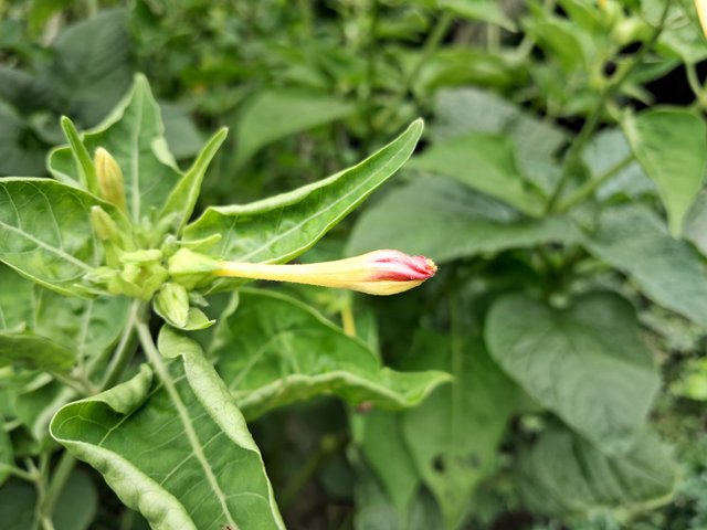 20250620_153300.jpg
