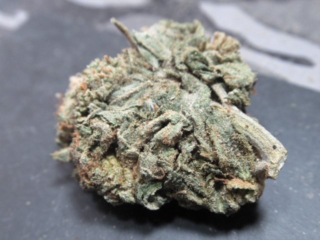 backsidestem.jpg