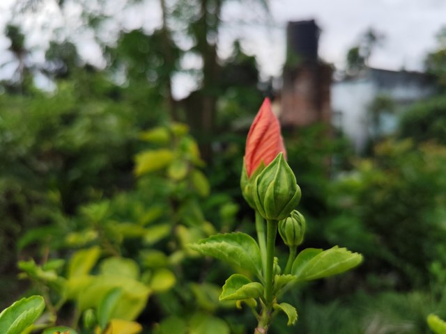 IMG_20250714_181804_2.jpg