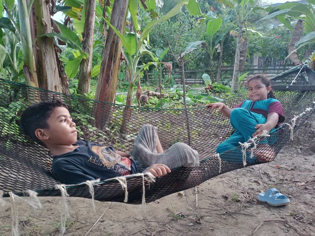 IMG20250627180313.jpg