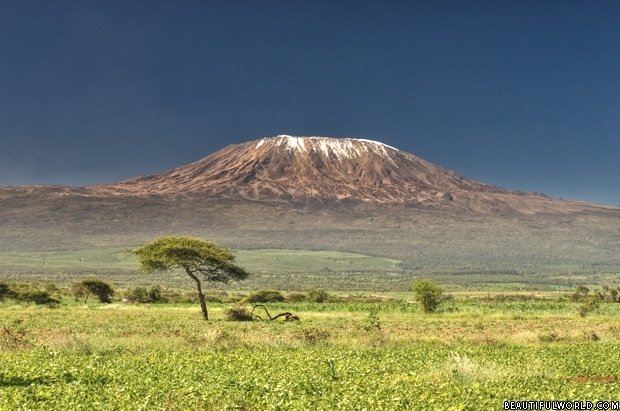 mount-kilimanjaro.jpg