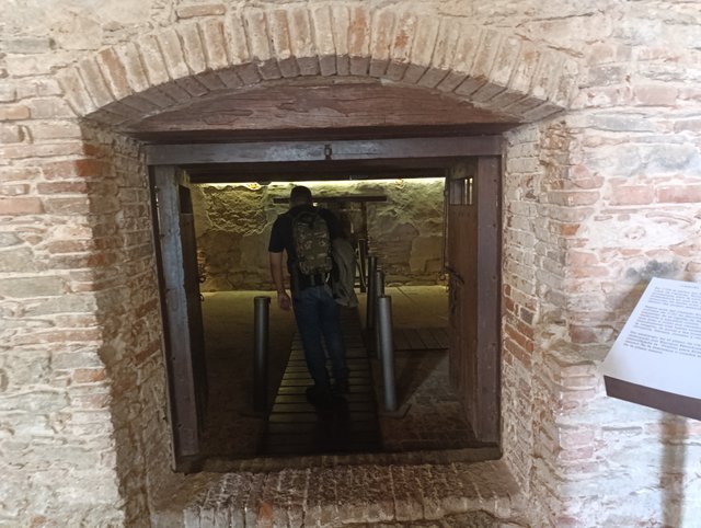 1000831767.jpg