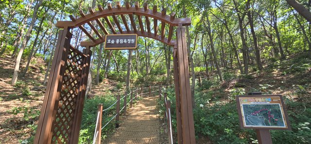 KakaoTalk_20250730_162645165_10.jpg