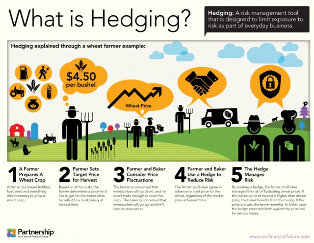 what-is-hedging_5029193155b1d_w1500