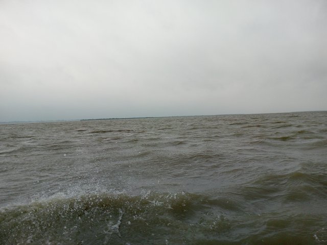 IMG_20240619_152648_604.jpg