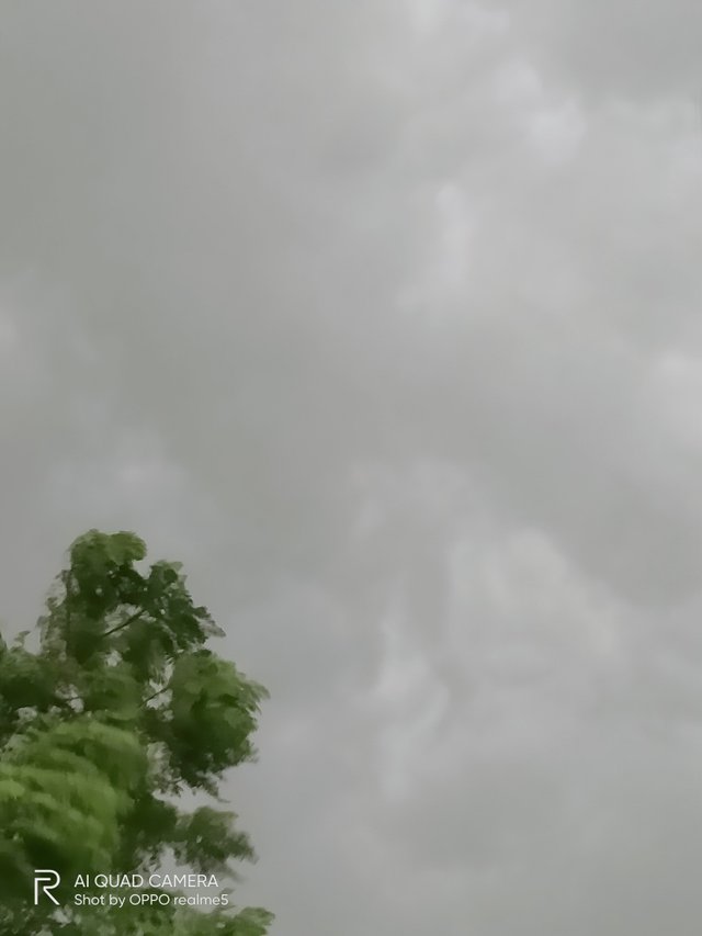 IMG20210908082509.jpg