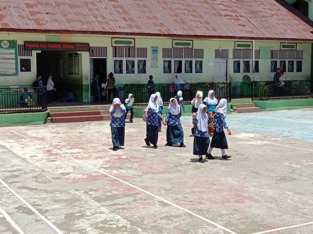 IMG_20250417_120049.jpg