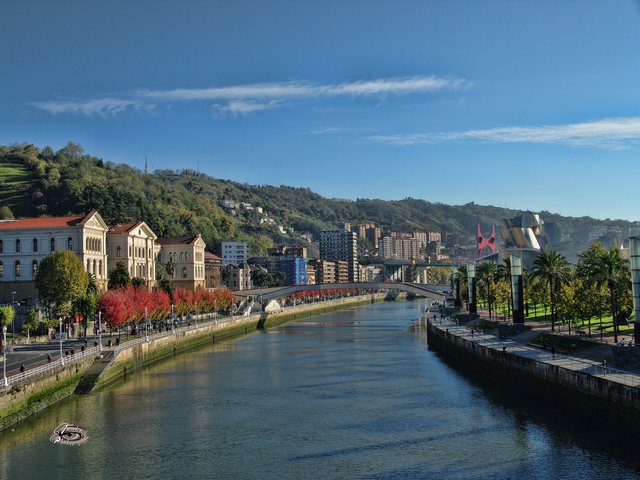 IMGP4748.jpg