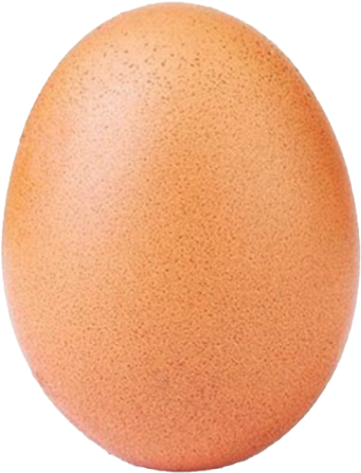 WORLDRECORDEGG.png