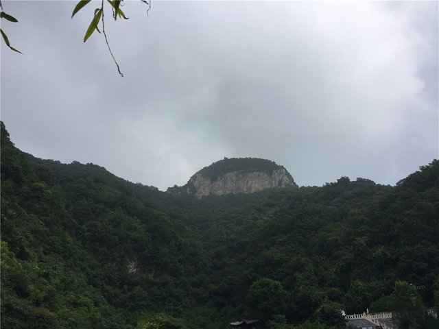 山顶  茱萸峰.jpg