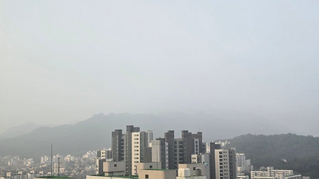 1000127341.jpg