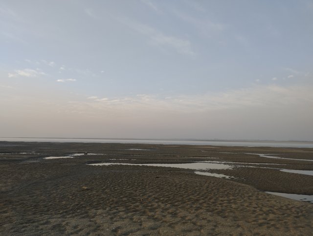 IMG_20240126_171802.jpg