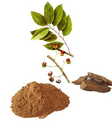 Global Pygeum Extracts Market.jpg