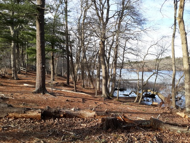 20200305_155244.jpg